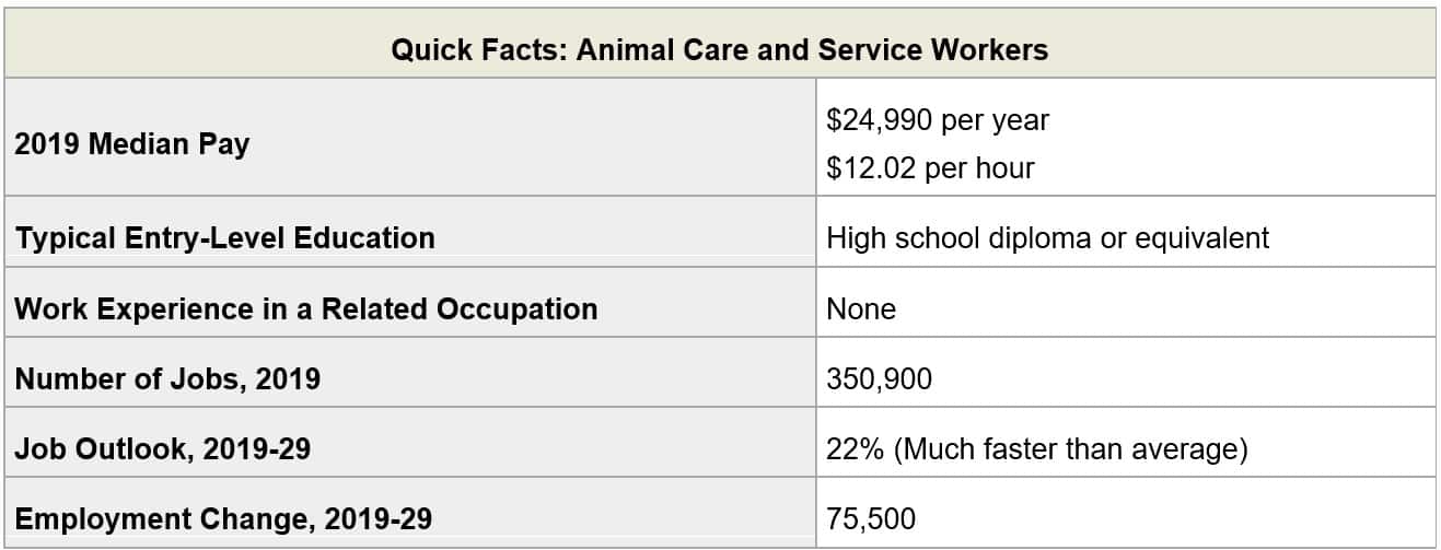 Pet Care Services Employment Trends